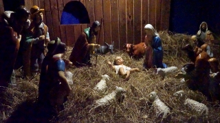 Jaselka_Pasterka_2017-23