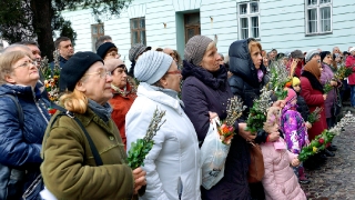 Niedziela_Palmowa_2016_10