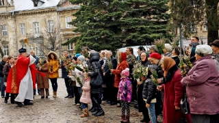 Niedziela_Palmowa_2016_4