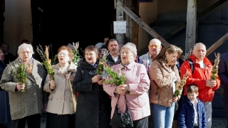 Niedziela_Palmowa_2017-7