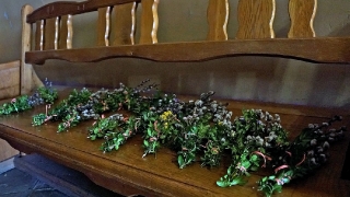 Niedziela_Palmowa_2018-5