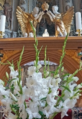 Odpust_Parafialny_2017-44